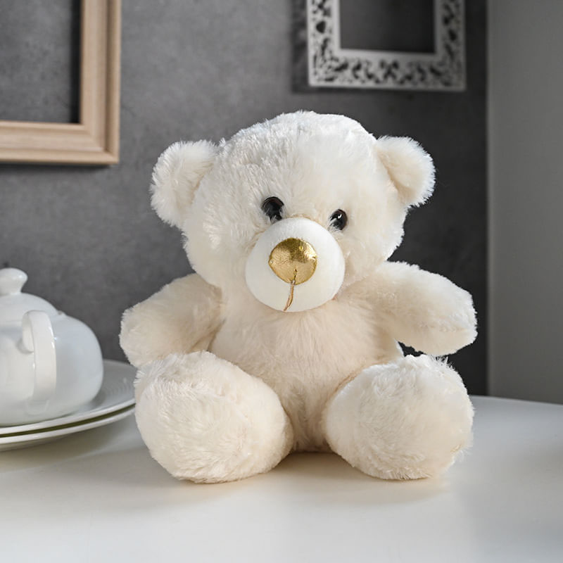 Dreamy Rose With Teddy