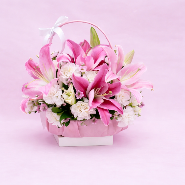 Lily Ferrero Bliss