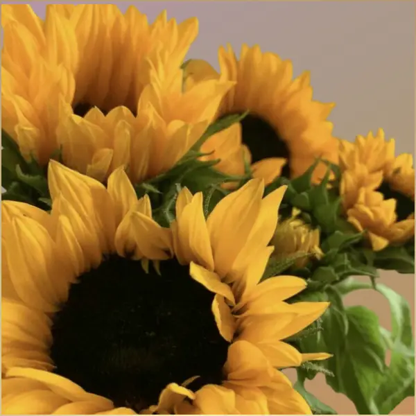 Sunny Garden Bouquet