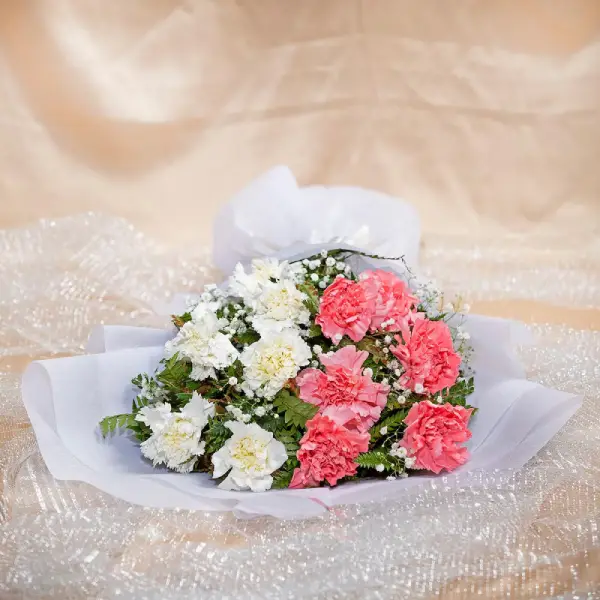 Lovely Pink Carnations
