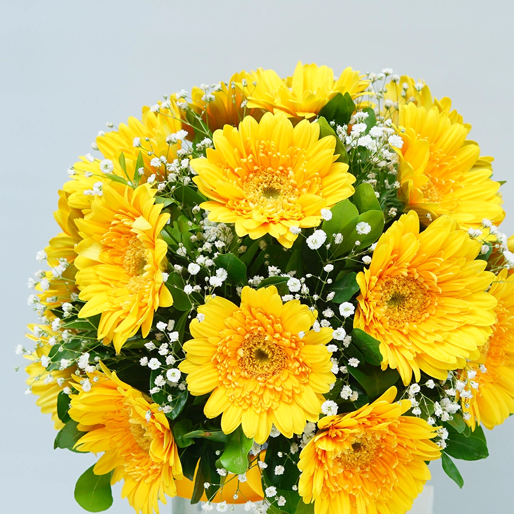 Bright Sunshine