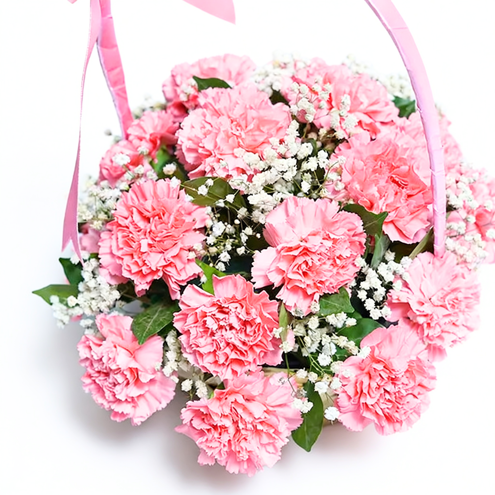 Passion in Pink Passion in Pink