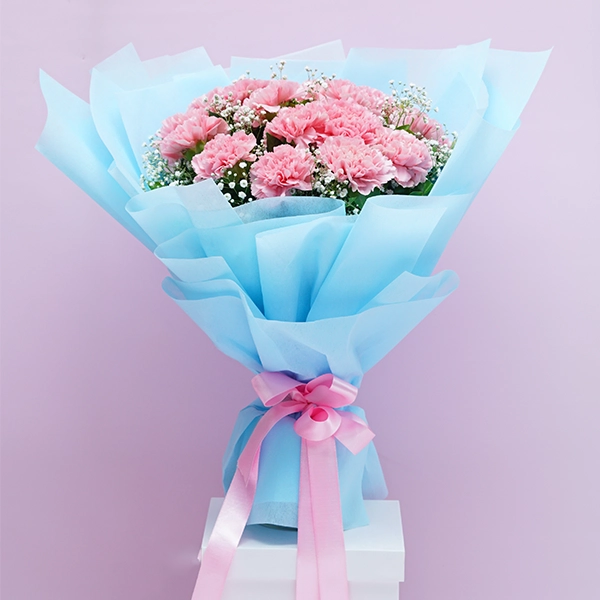Charming Carnations