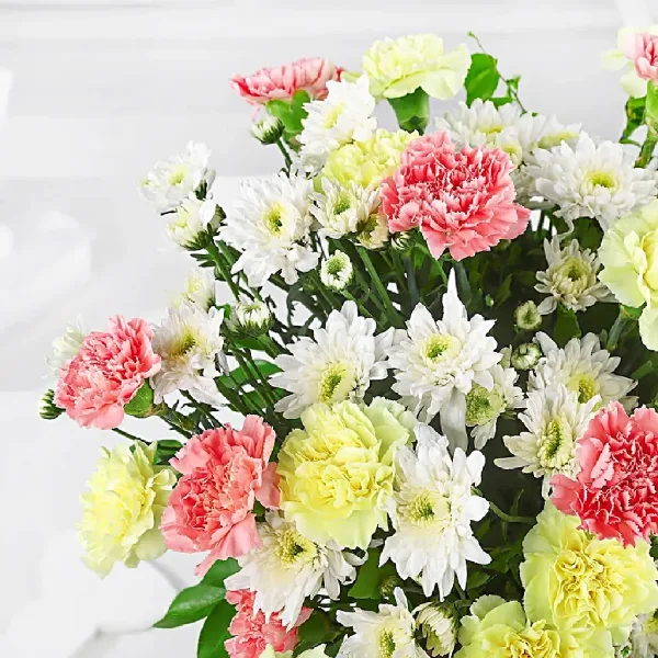 Colorful Delight Colorful Delight