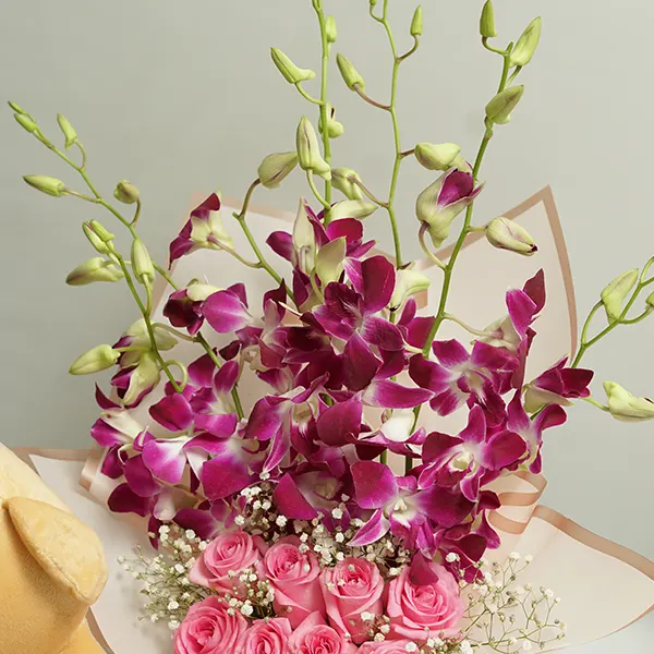 Teddy’s Orchid Rose pot