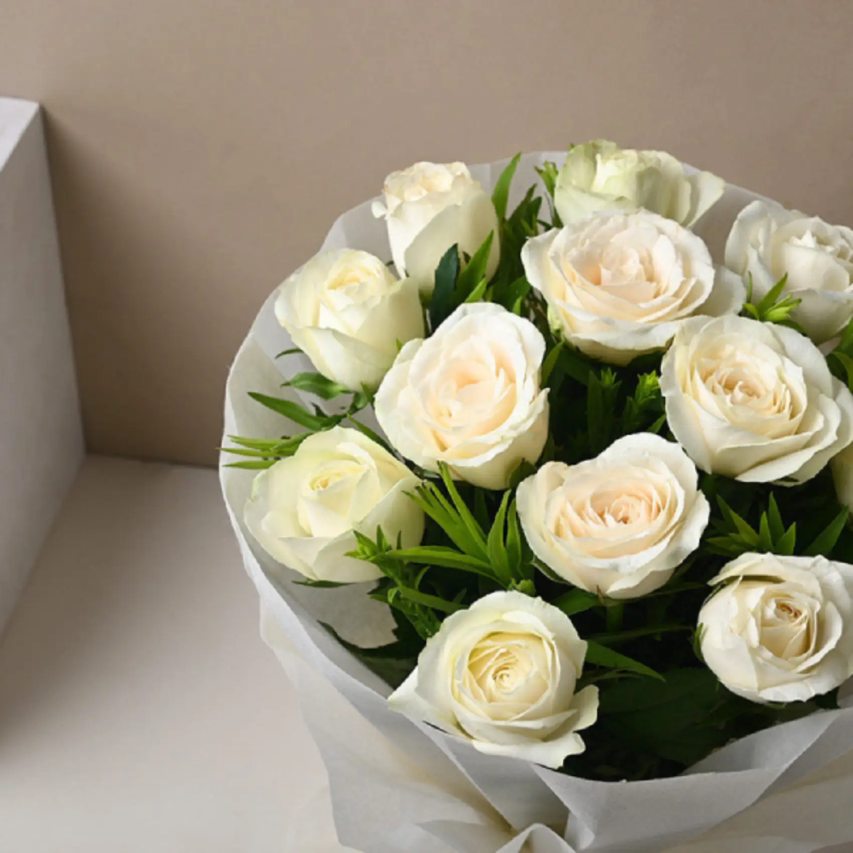 Pure White Roses With  Temptations
