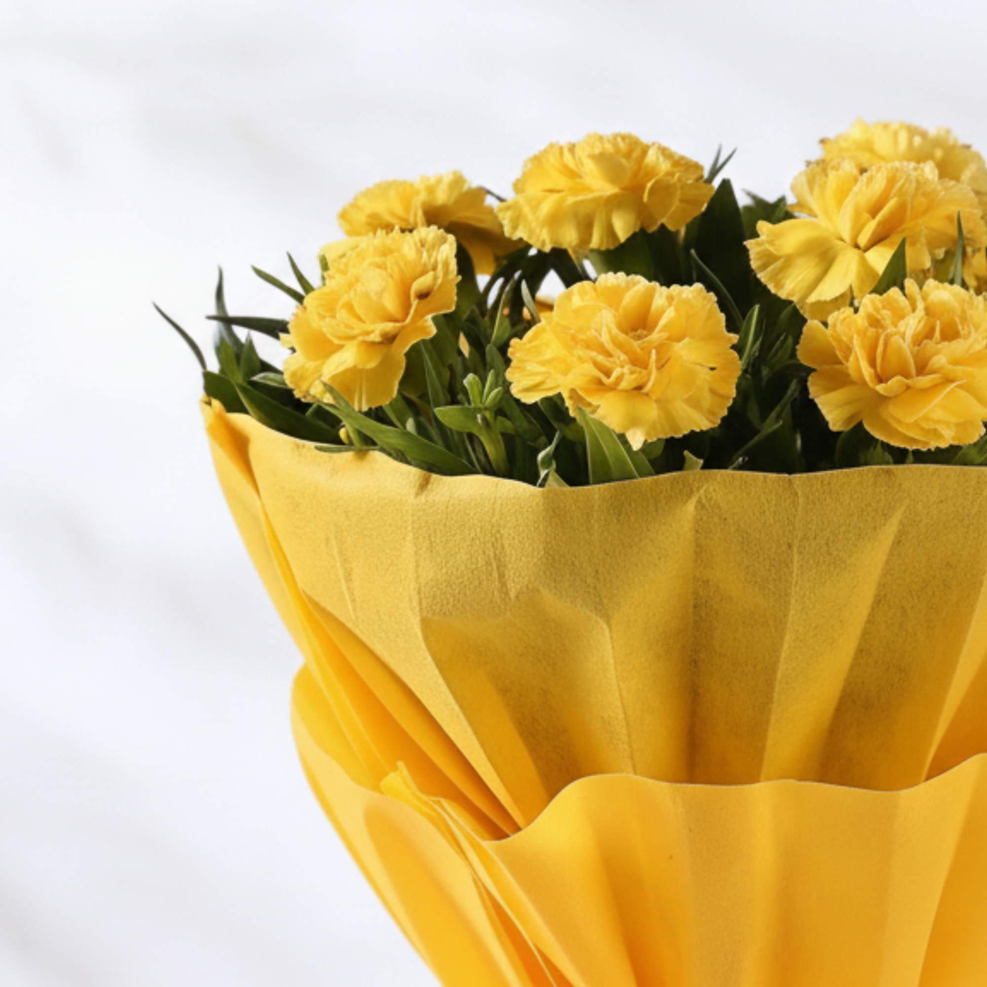 Yellow Carnations