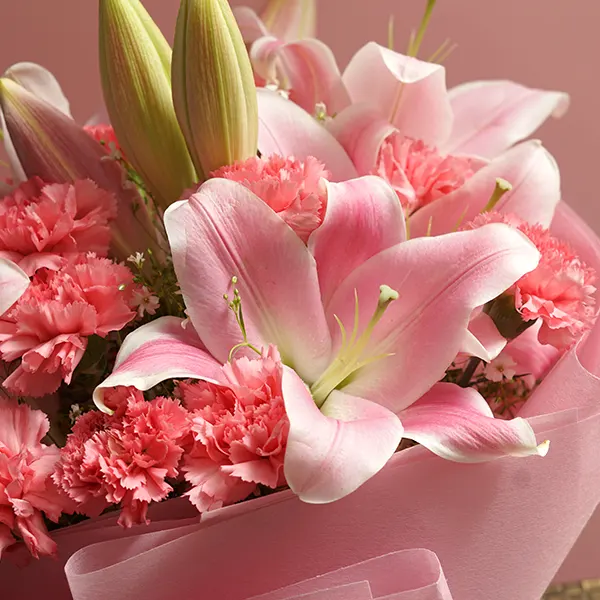 Elegant Lily Dry Fruit Gift