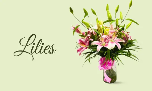 Lilies