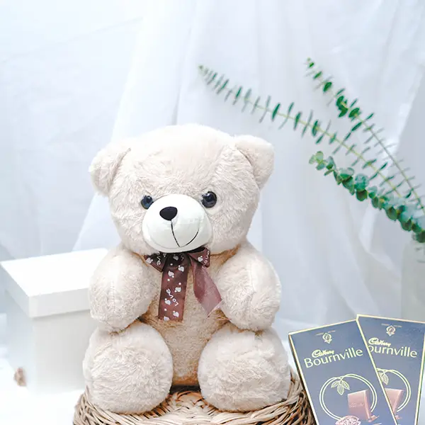 Choco Teddy Delight