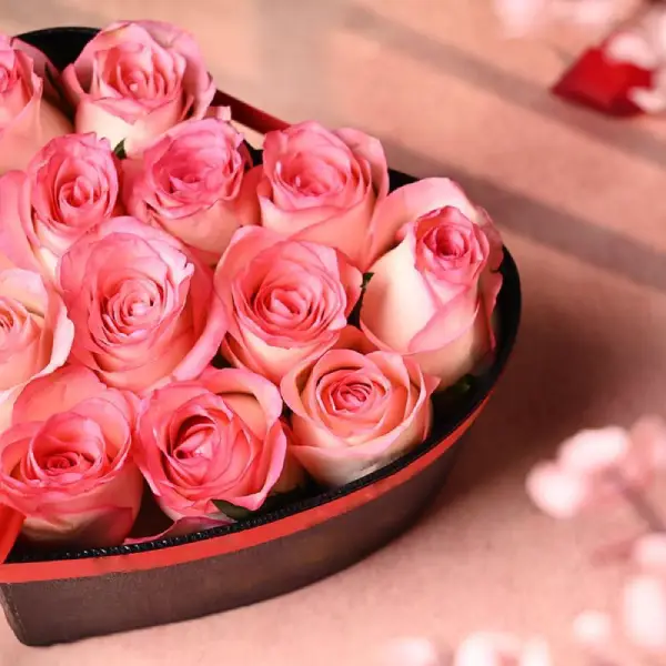 Pink Beauty in a Box