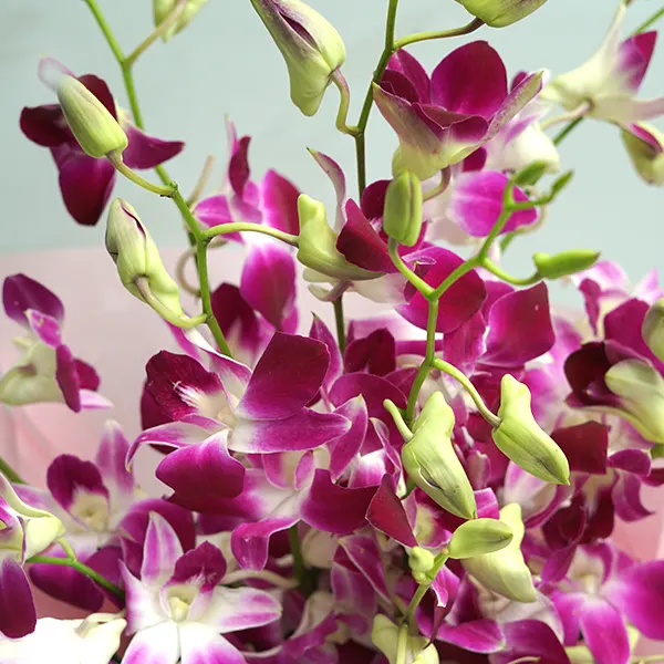 Orchids & Berry Celebration
