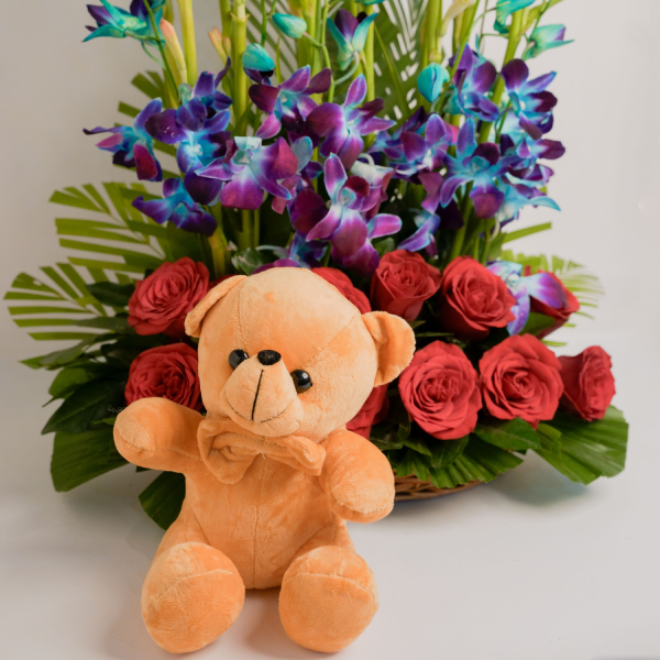 Rajnigandha Teddy Delight Rajnigandha Teddy Delight