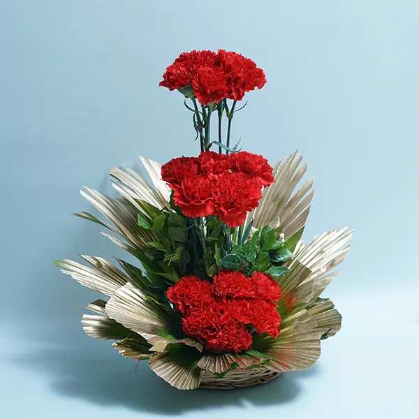 Bubbly Carnations