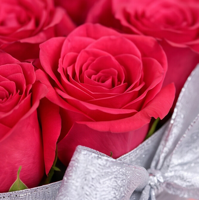 Blooming Marvellous
