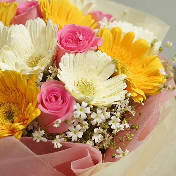 Vibrant Gerberas & Dry Fruits Treat