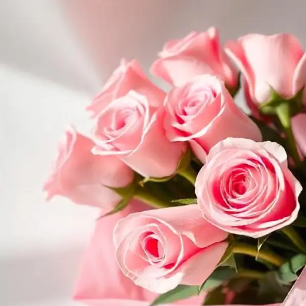 8 Pink Roses Bunch