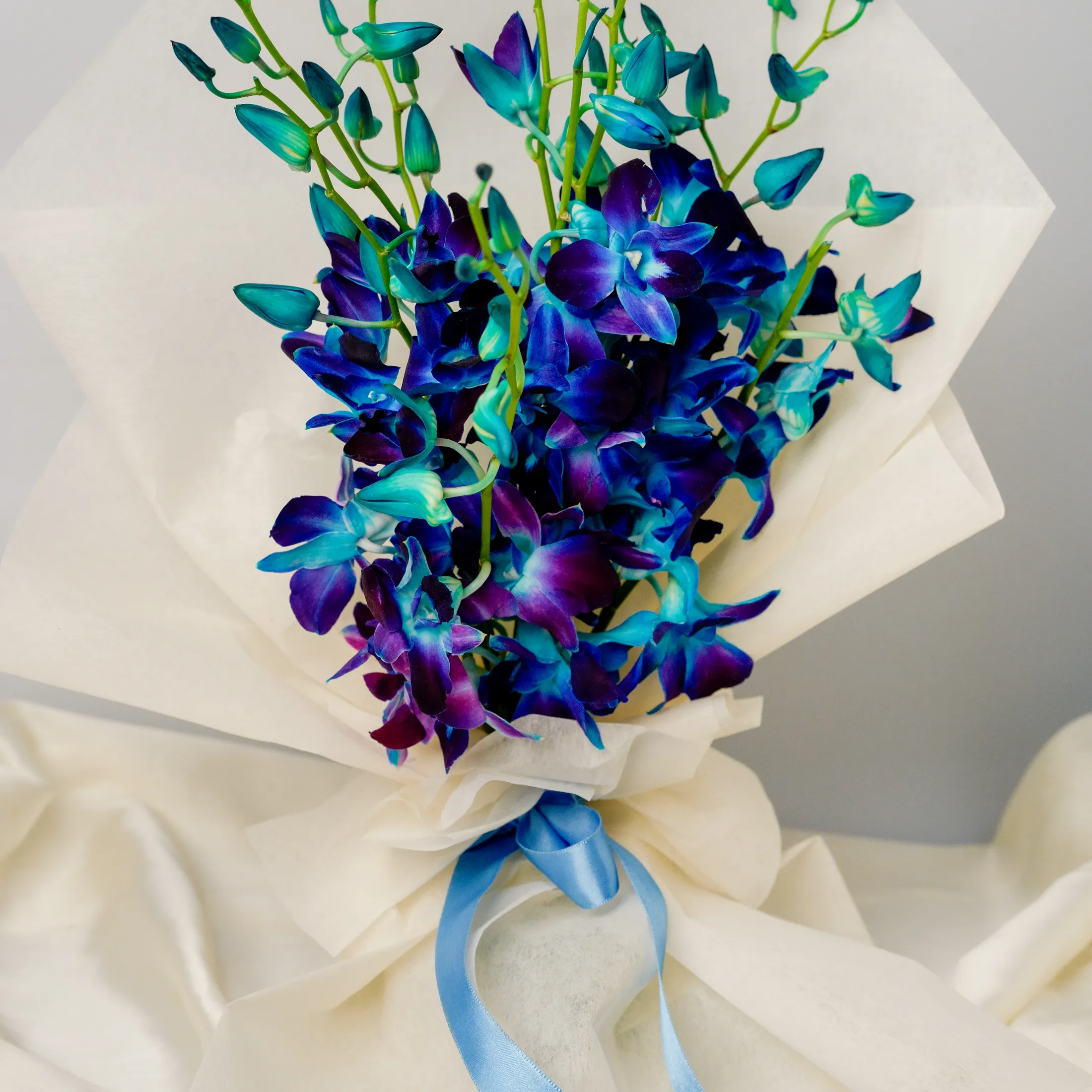 Sapphire Orchid Dry Fruit Duo Sapphire Orchid Dry Fruit Duo