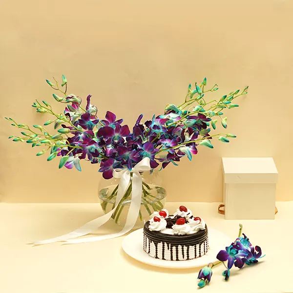 Perfect Orchids with Black Forest Cake