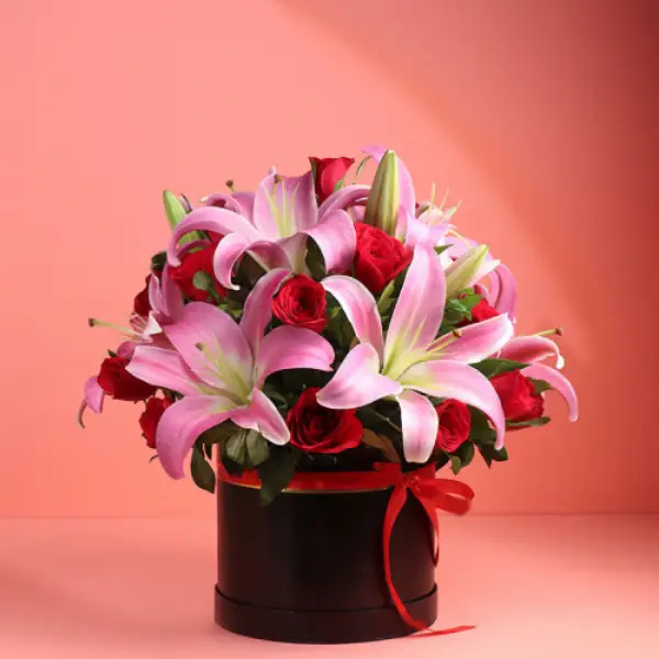 Breathtaking Beauty Breathtaking Beauty