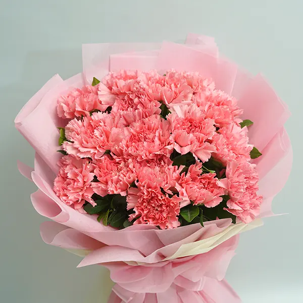 Vanilla Cake with Pink Carnations