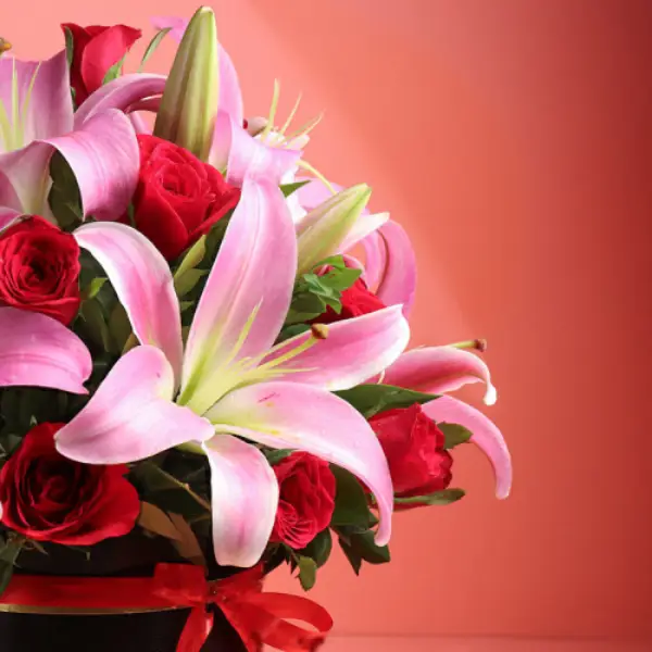 Breathtaking Beauty Breathtaking Beauty