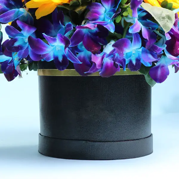 Royal Indigo Sun Box Royal Indigo Sun Box