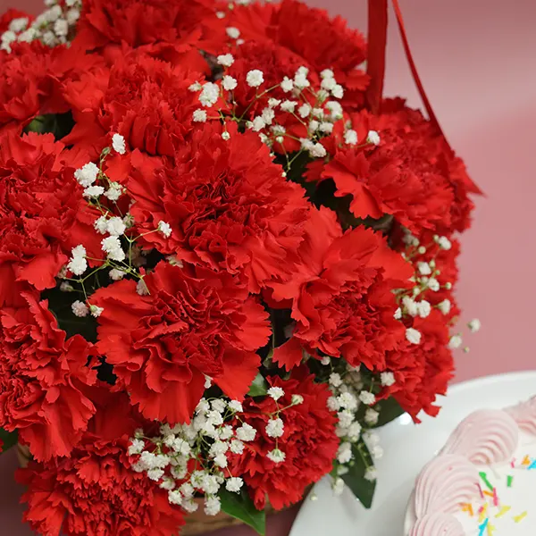 Carnation Basket & Berry Delight