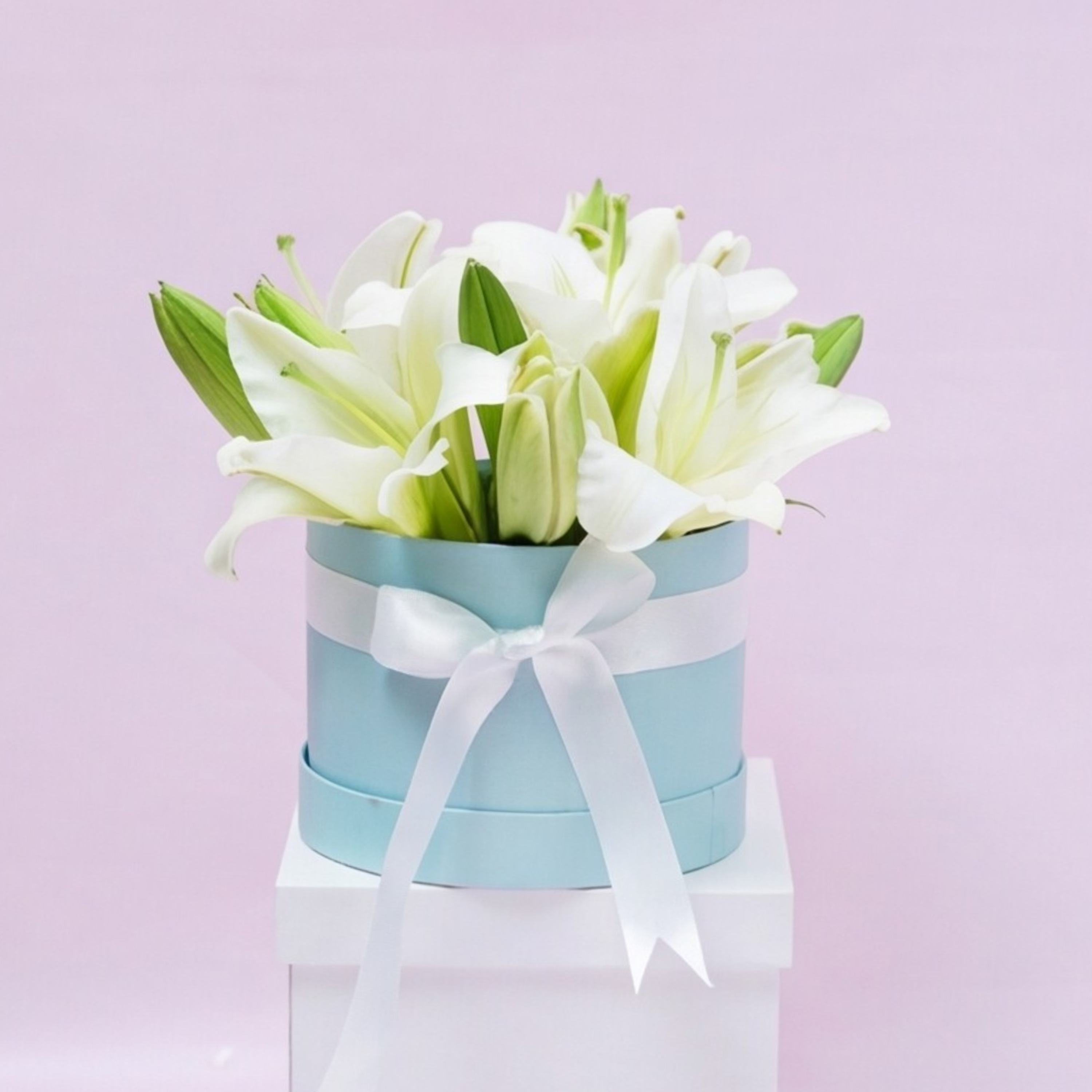 White Lily Blue Breeze White Lily Blue Breeze