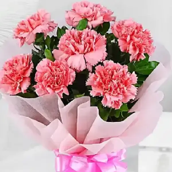 Carnations Delight