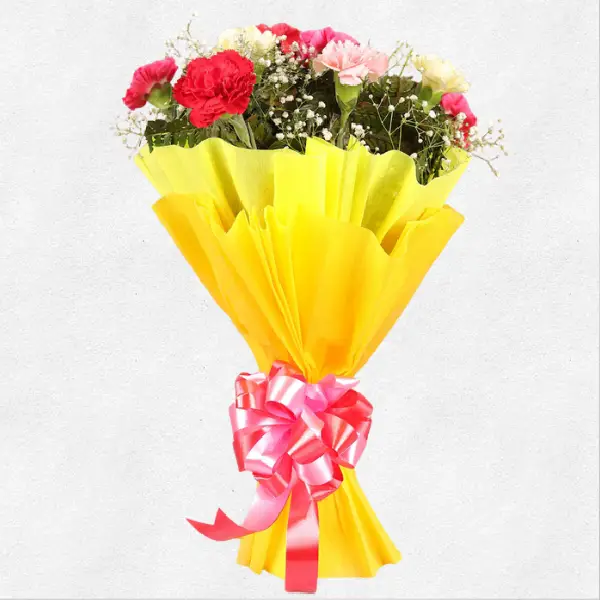 Cute Carnations Bunch