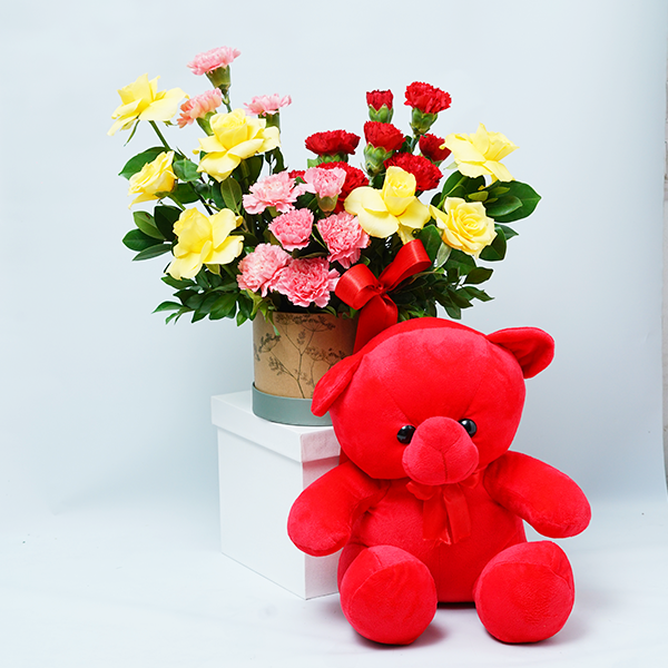 Carnation Cuddle Surprise
