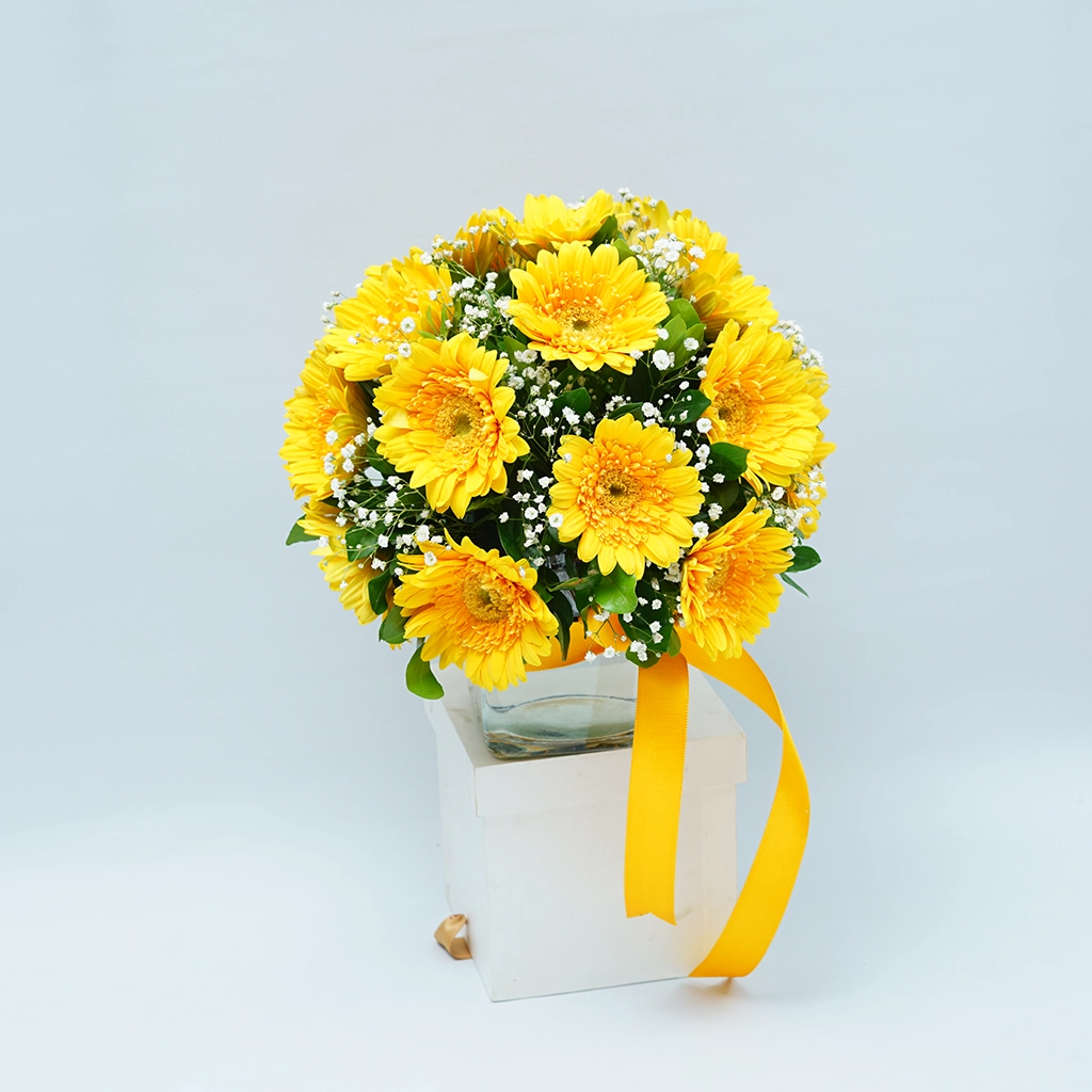 Bright Sunshine