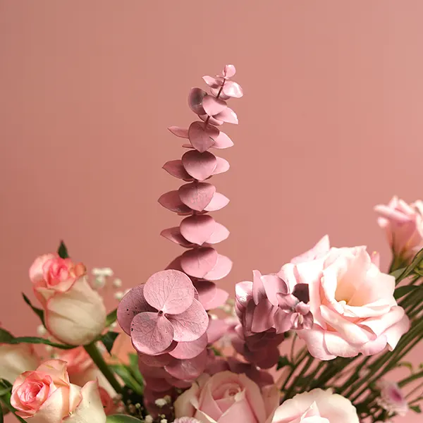 Pink Perfection in a Box