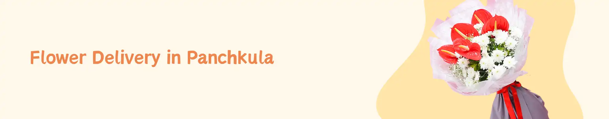 Flower Delivery in Panchkula