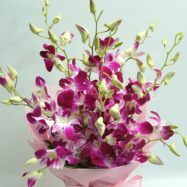 Orchids & Berry Celebration