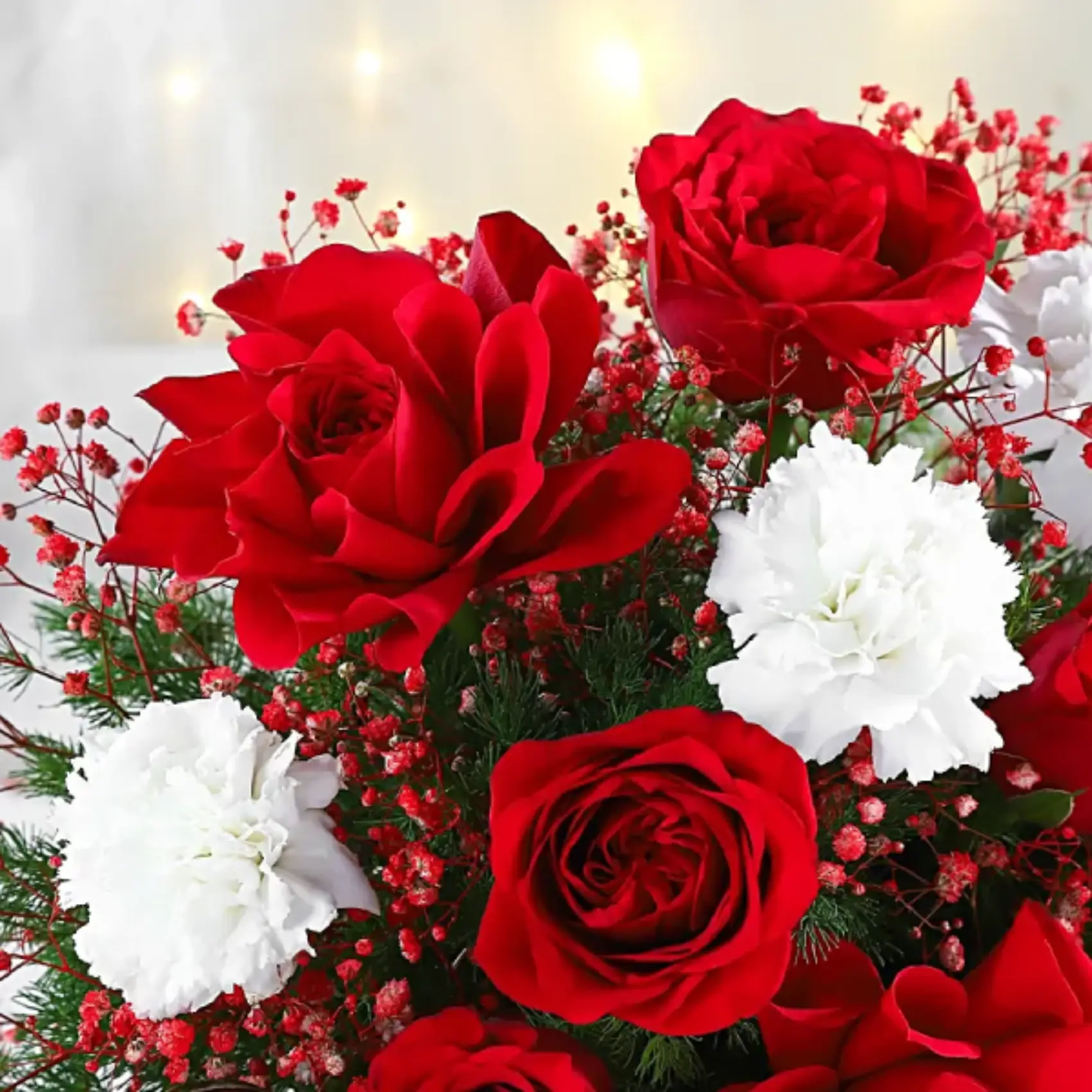 Roses Delight Roses Delight
