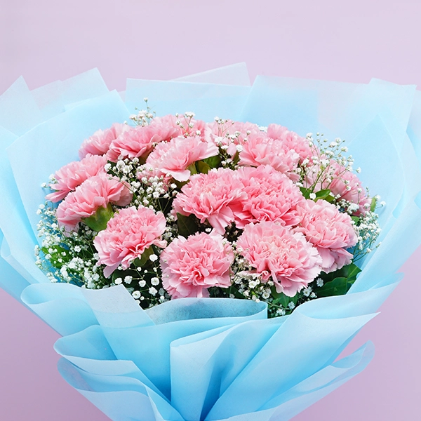 Charming Carnations