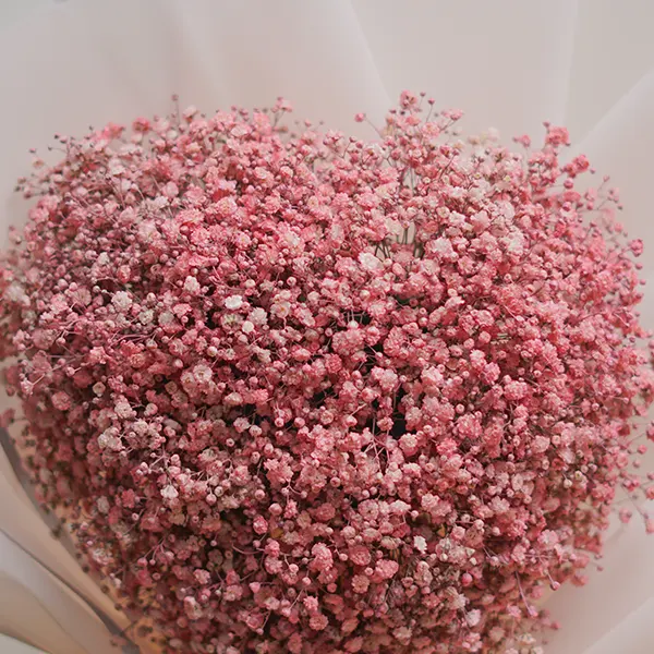 Pink Gypso Bouquet with Elegant Wrap