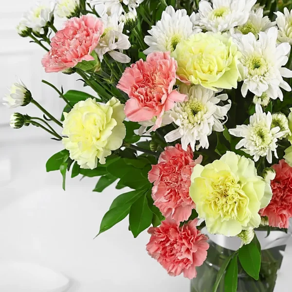 Colorful Delight Colorful Delight