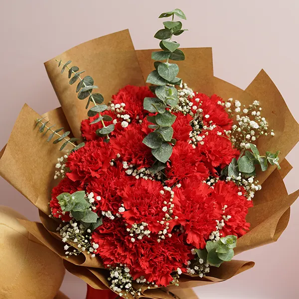 Carnation Cuddle & Red Velvet Cake