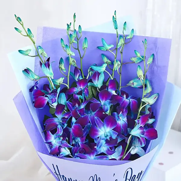 Men’s Day  Blue Orchid Joy