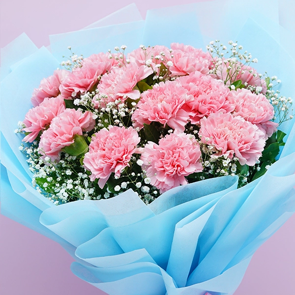 Charming Carnations