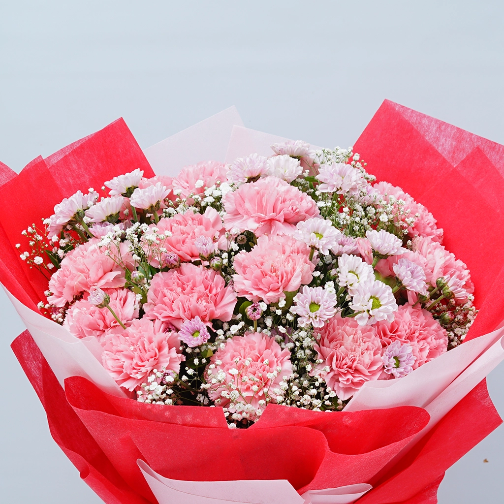 Lovely Pink Carnations