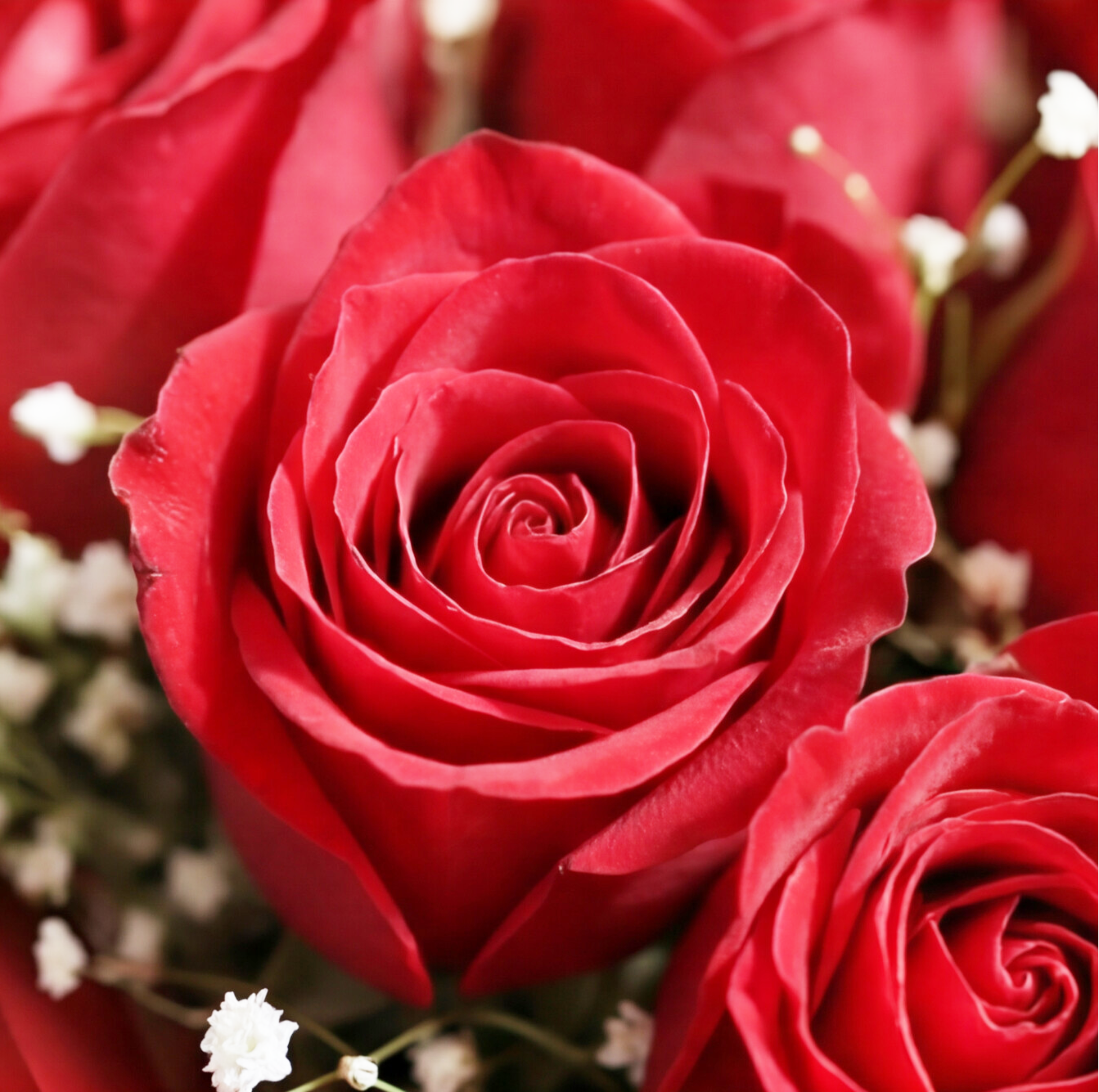 Red Wishes