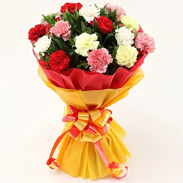 Send Carnations Buy/Send Cute Carnations Bunch Online | FloraIndia