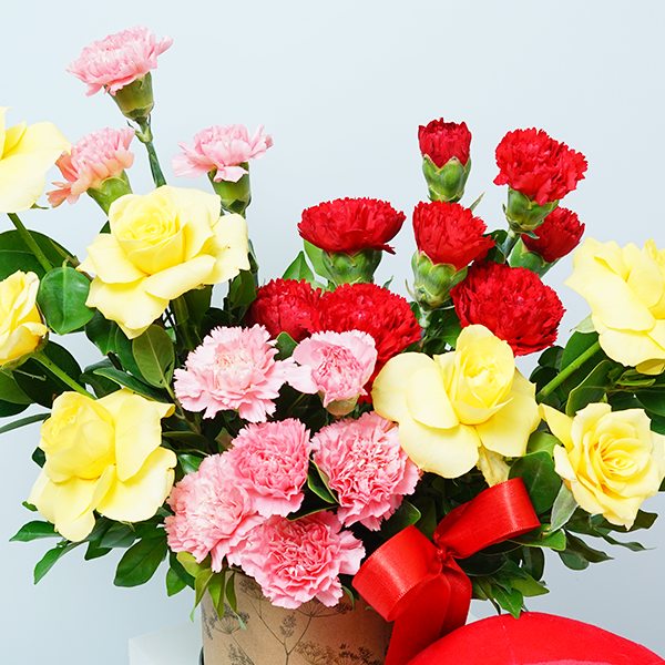 Carnation Cuddle Surprise