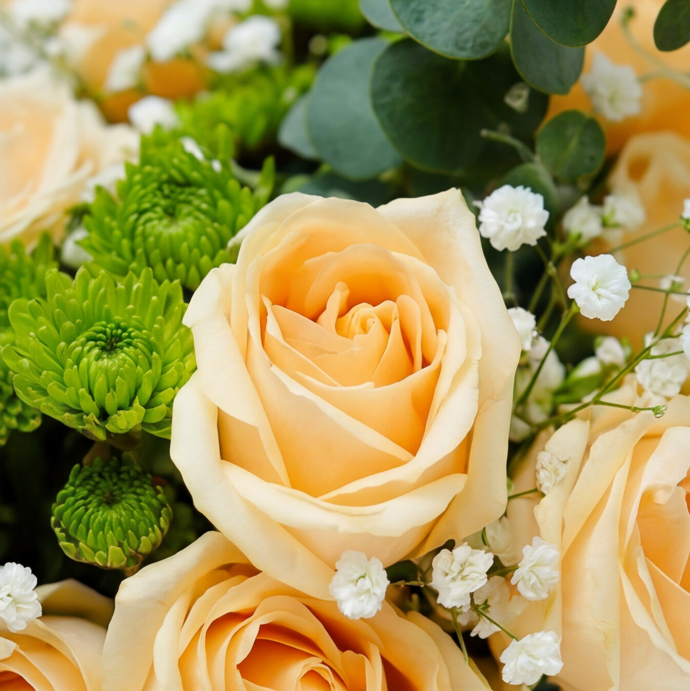 Peach Rose & Emerald Garden