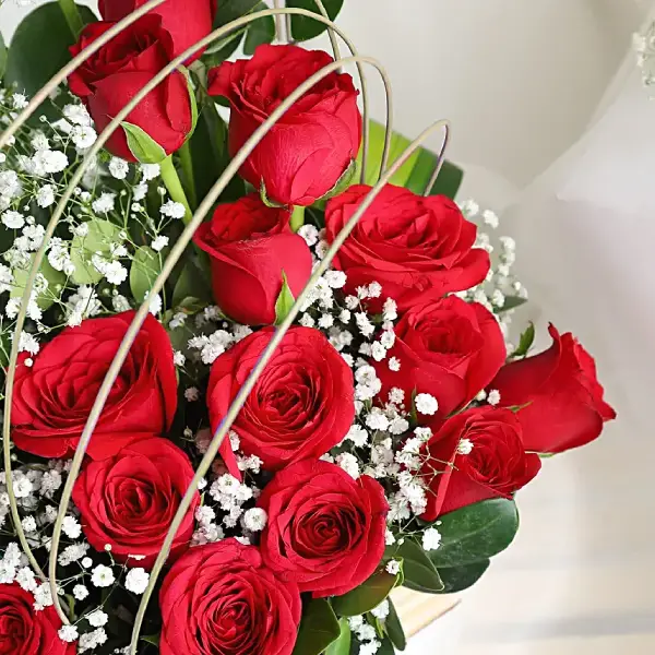 Red Blossoms