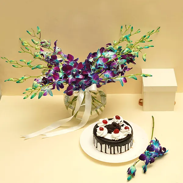 Perfect Orchids with Black Forest Cake